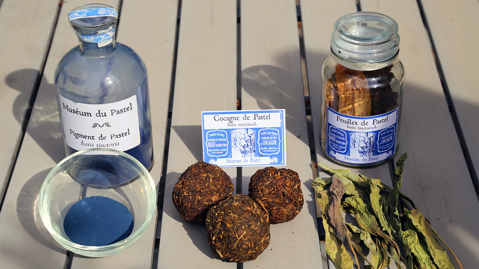 Hojas de Isatis tinctoria, bolas vegetales y pigmento azul en el proceso tradicional de obtención del tinte de glasto.