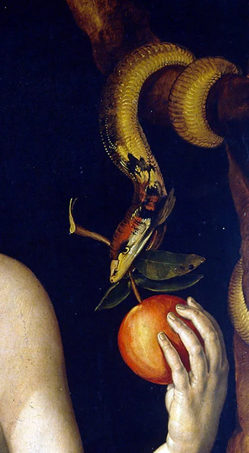 La serpiente ofrece la manzana a Eva.