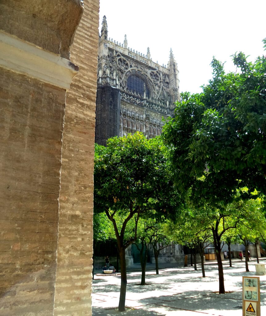 Patio de los Naranjos visto desde una galería porticada, con alineación de naranjos y arquerías al fondo.