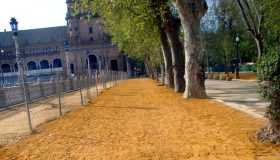 Suelo de albero en el Parque de María Luisa de Sevilla.
